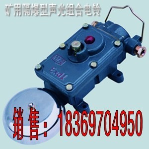 BAL1-127G矿用隔爆型声光组合电铃 功能打点通话一体化，山东电工器材助力矿井安全通信